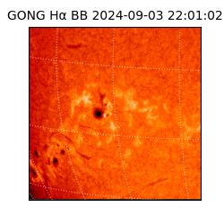 gong - 2024-09-03T22:01:02