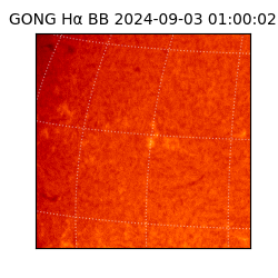 gong - 2024-09-03T01:00:02