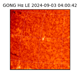 gong - 2024-09-03T04:00:42