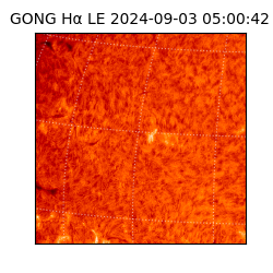 gong - 2024-09-03T05:00:42