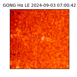 gong - 2024-09-03T07:00:42