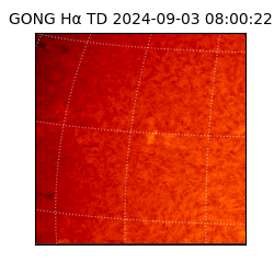 gong - 2024-09-03T08:00:22