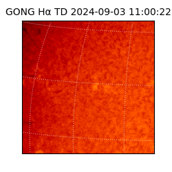 gong - 2024-09-03T11:00:22