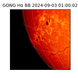 gong - 2024-09-03T01:00:02