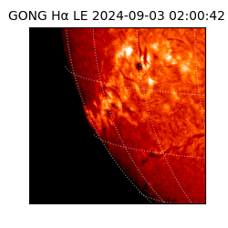 gong - 2024-09-03T02:00:42