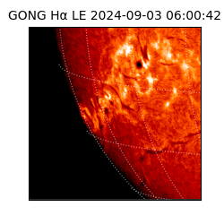 gong - 2024-09-03T06:00:42