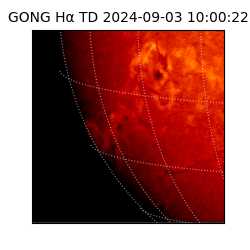 gong - 2024-09-03T10:00:22