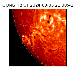 gong - 2024-09-03T21:00:42