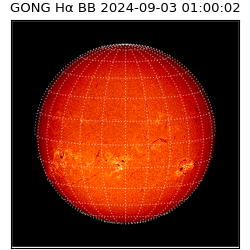 gong - 2024-09-03T01:00:02