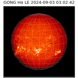 gong - 2024-09-03T03:02:42