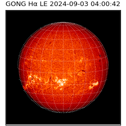 gong - 2024-09-03T04:00:42