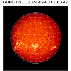 gong - 2024-09-03T07:00:42