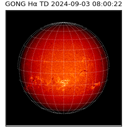 gong - 2024-09-03T08:00:22