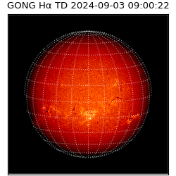 gong - 2024-09-03T09:00:22