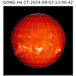 gong - 2024-09-03T13:00:42