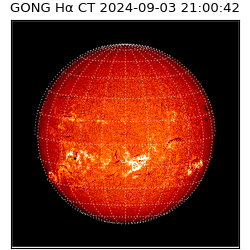 gong - 2024-09-03T21:00:42