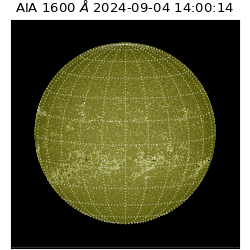 saia - 2024-09-04T14:00:14.132000