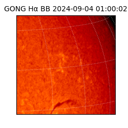 gong - 2024-09-04T01:00:02