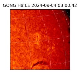 gong - 2024-09-04T03:00:42