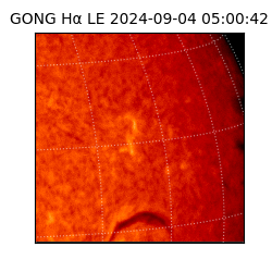 gong - 2024-09-04T05:00:42