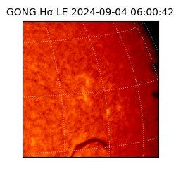 gong - 2024-09-04T06:00:42