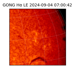 gong - 2024-09-04T07:00:42