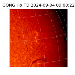 gong - 2024-09-04T09:00:22