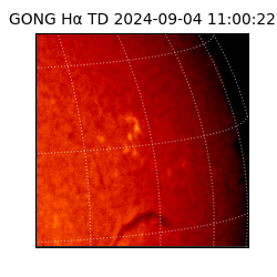 gong - 2024-09-04T11:00:22