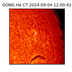 gong - 2024-09-04T12:00:42