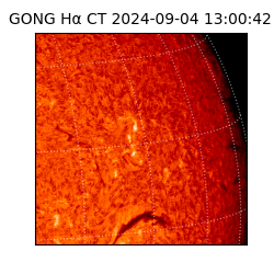 gong - 2024-09-04T13:00:42