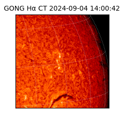 gong - 2024-09-04T14:00:42