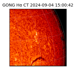 gong - 2024-09-04T15:00:42