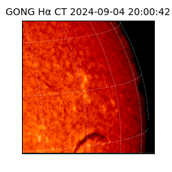 gong - 2024-09-04T20:00:42