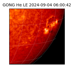 gong - 2024-09-04T06:00:42