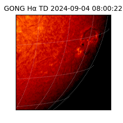 gong - 2024-09-04T08:00:22