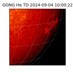 gong - 2024-09-04T10:00:22