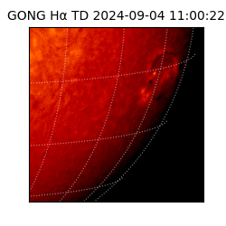 gong - 2024-09-04T11:00:22