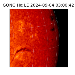 gong - 2024-09-04T03:00:42