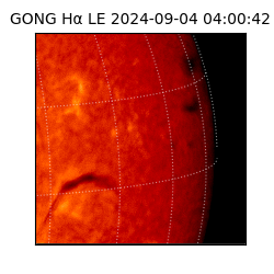 gong - 2024-09-04T04:00:42