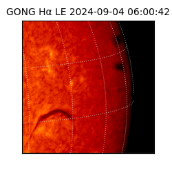 gong - 2024-09-04T06:00:42