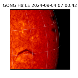 gong - 2024-09-04T07:00:42