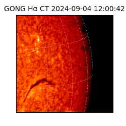 gong - 2024-09-04T12:00:42