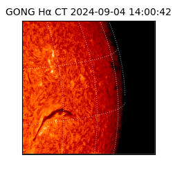 gong - 2024-09-04T14:00:42