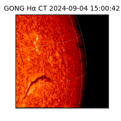 gong - 2024-09-04T15:00:42