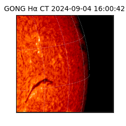 gong - 2024-09-04T16:00:42
