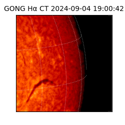 gong - 2024-09-04T19:00:42