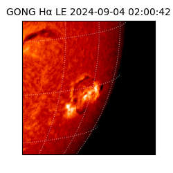 gong - 2024-09-04T02:00:42