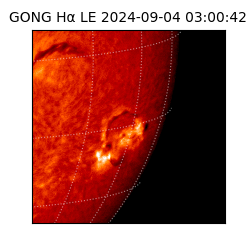 gong - 2024-09-04T03:00:42