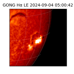 gong - 2024-09-04T05:00:42