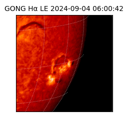 gong - 2024-09-04T06:00:42